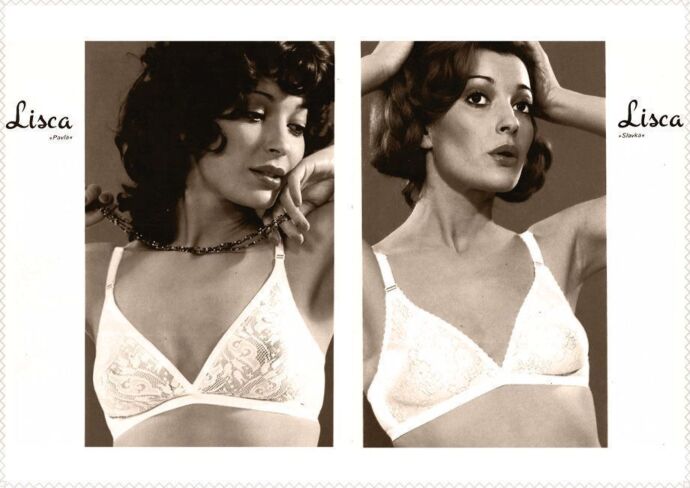 Modrčki skozi desetletja